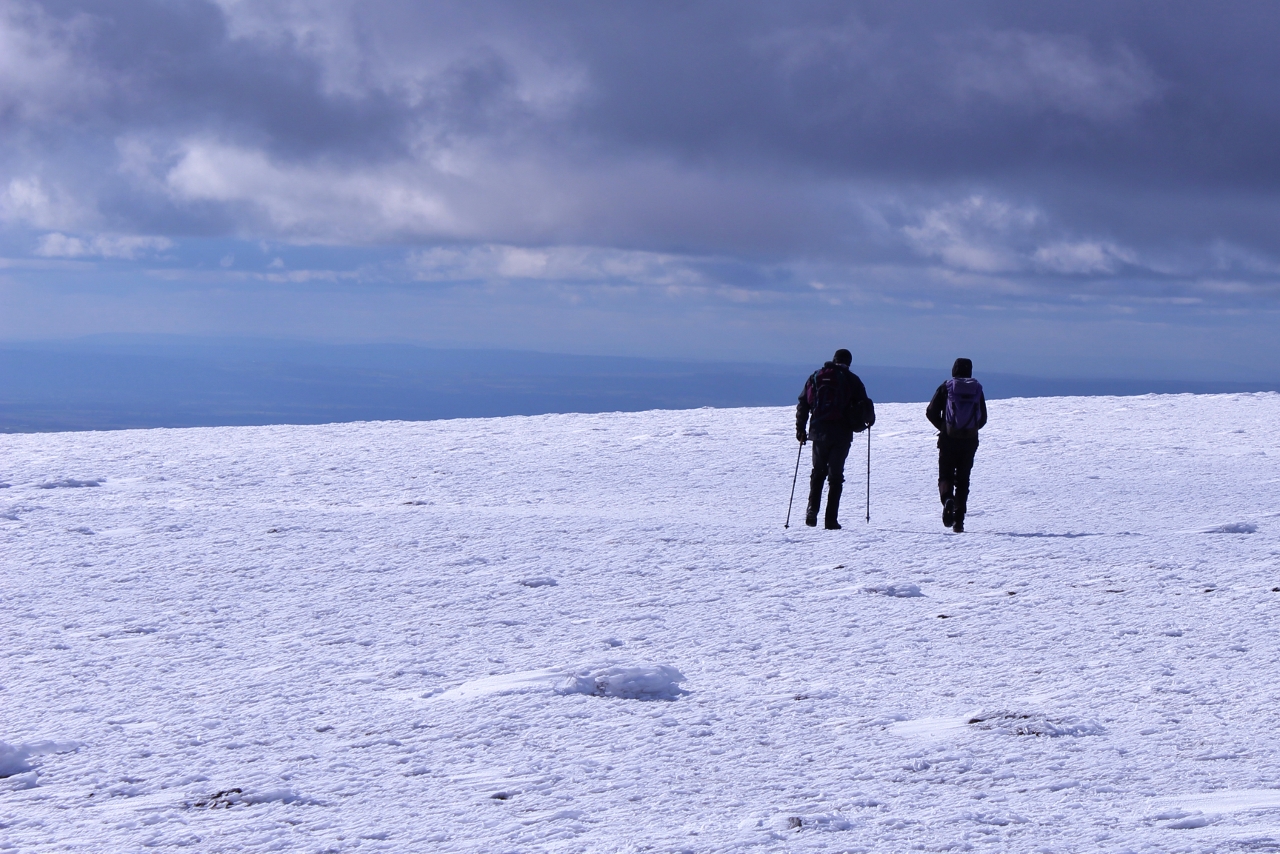 Hiking in Wicklow